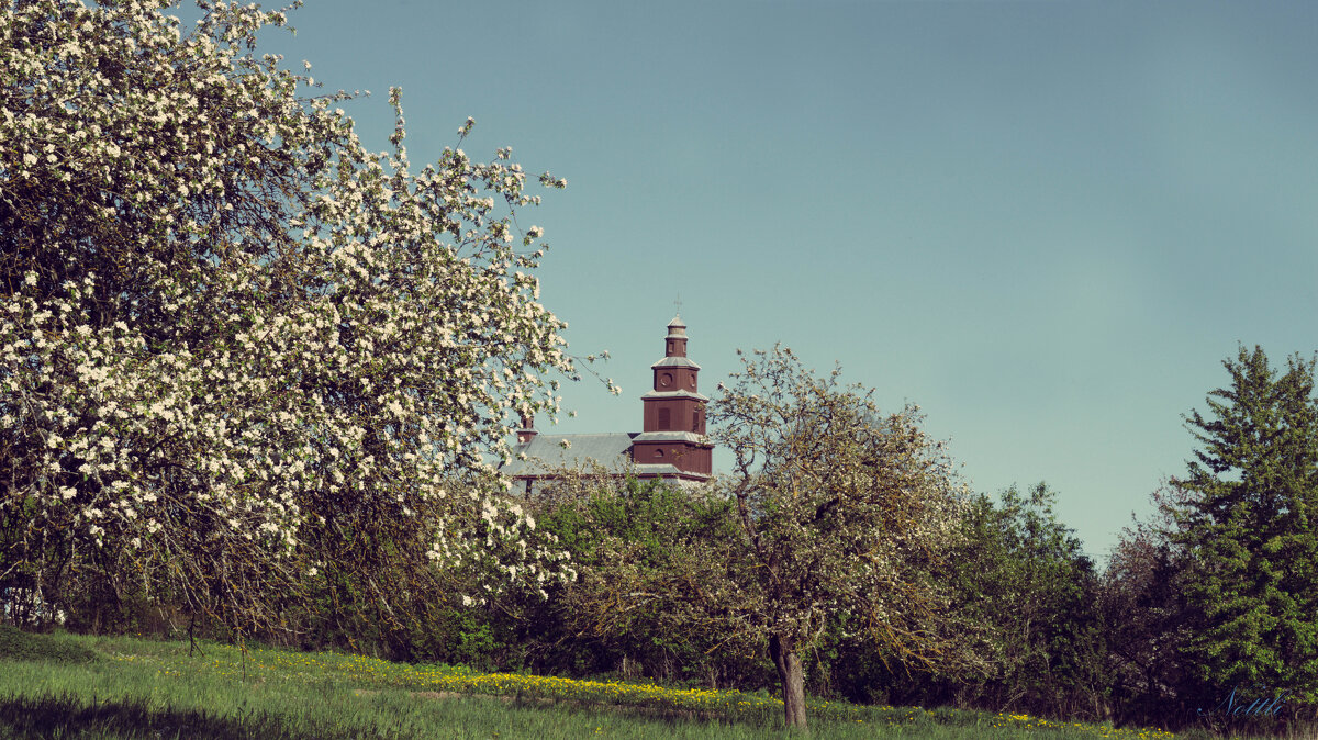 Костёл св. Петра и Павла - Варвара Высоцкая