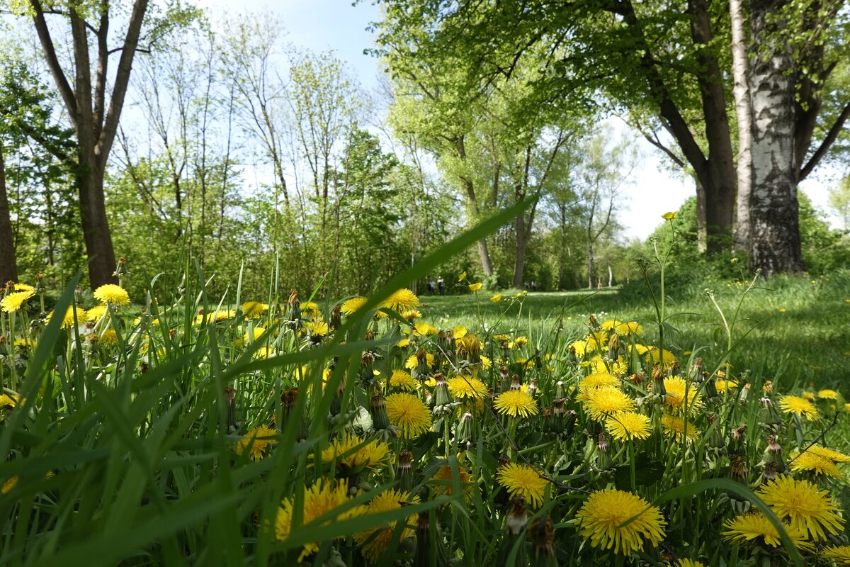 Апрель - Галина 