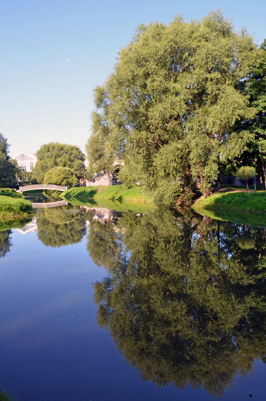 Дерево на берегу озера - Сергей М 