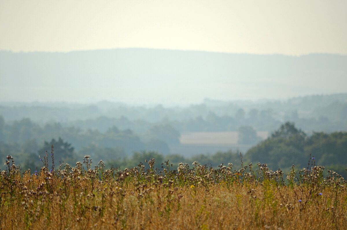 Туманное утро. После дождя. - Сергей М 