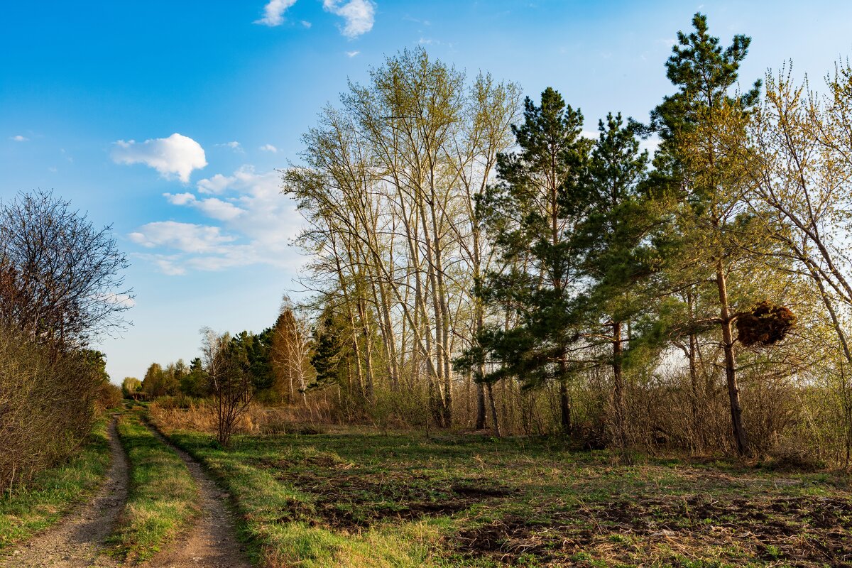 На прогулке - Петр 