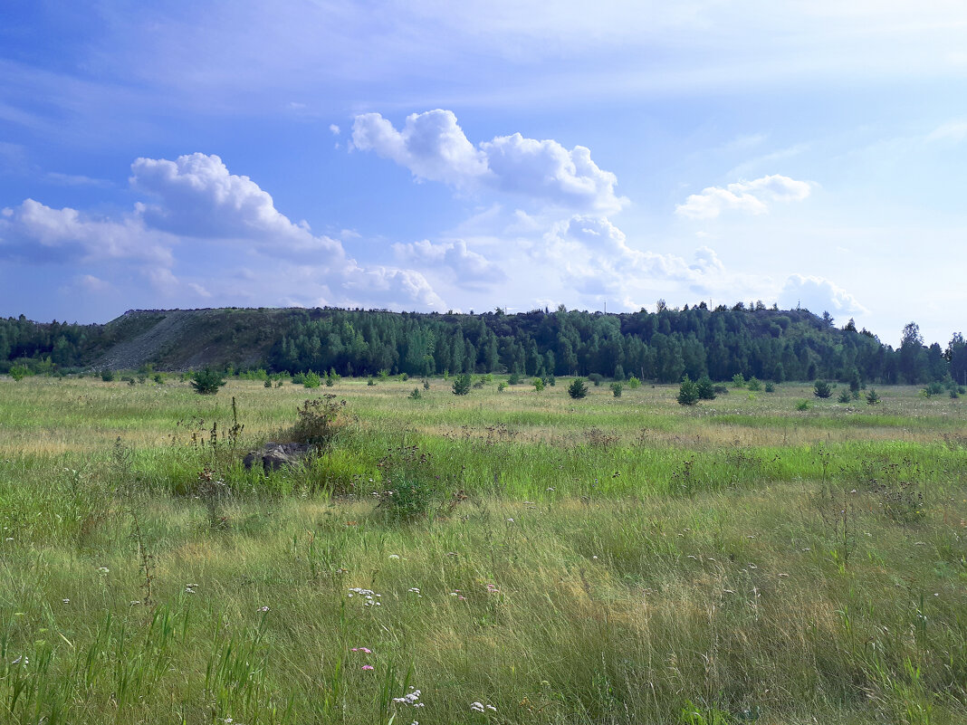 На велопрогулке - Дмитрий Петров