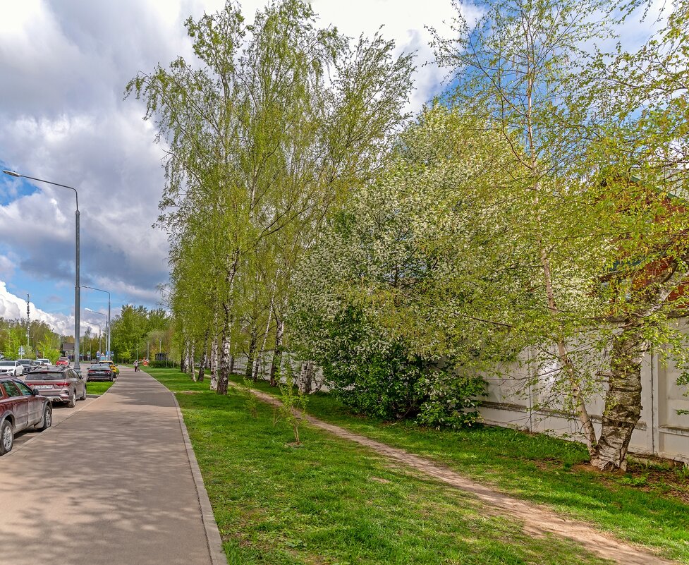 На апрельской аллее - Валерий Иванович На апрельской аллее - Валерий Иванович