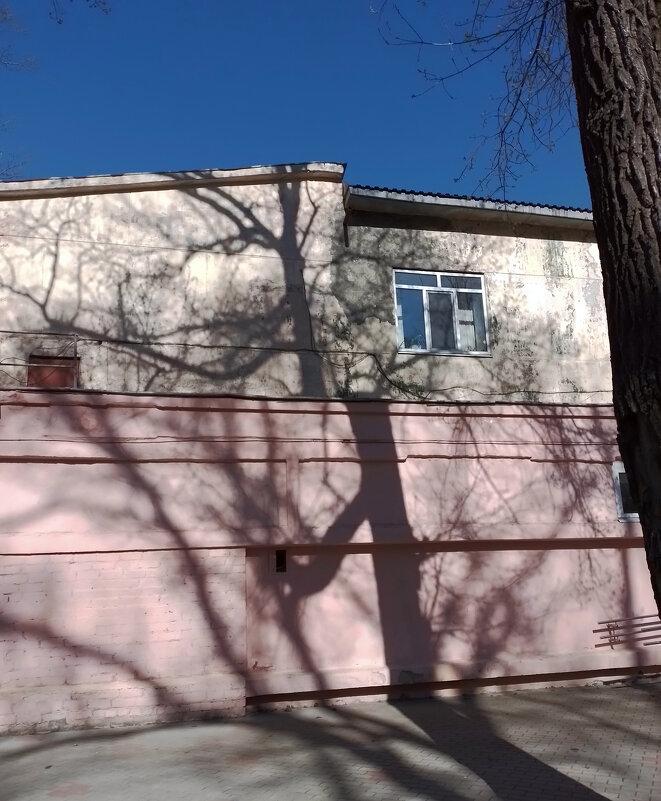 *** - Валентина Береснева