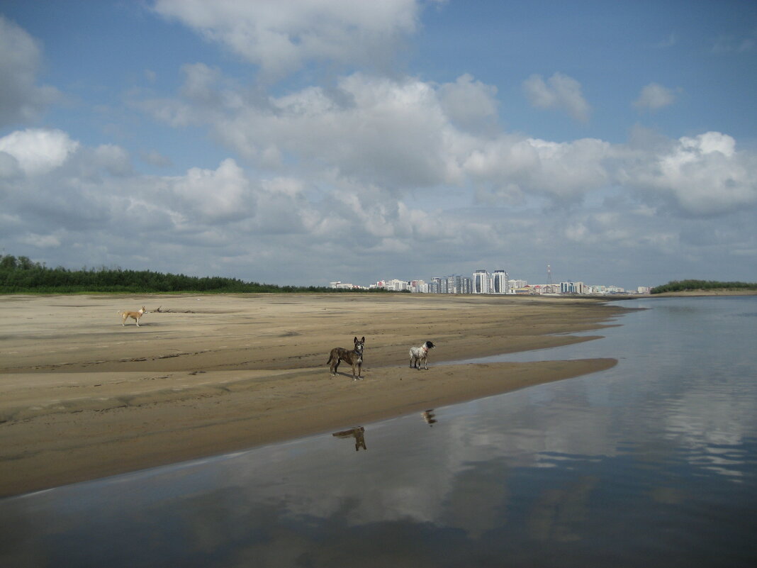 Дикий пляж - Anna Ivanova