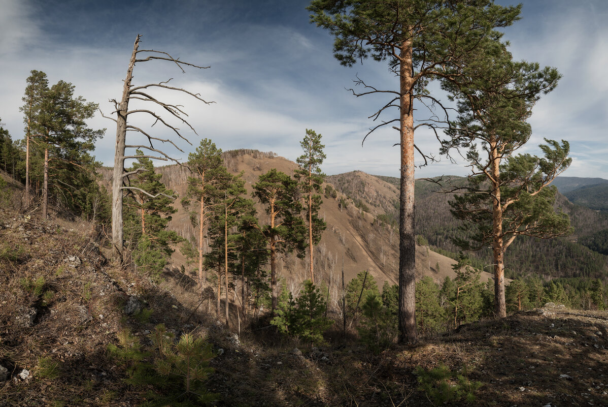 * - Александр Иванов