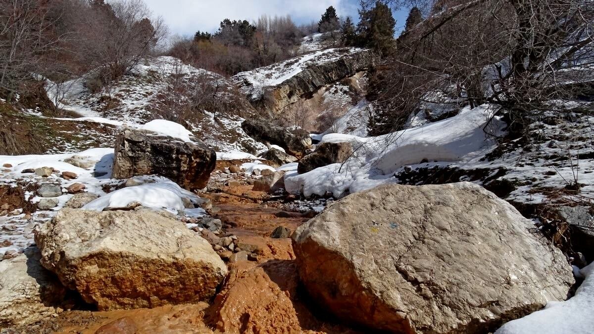 ЗИМНЯЯ ПРОГУЛКА. - Виктор Осипчук