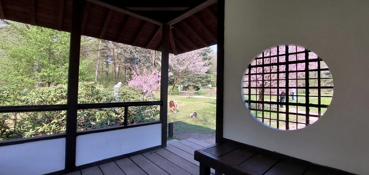 в беседке - ИРЭН@ .