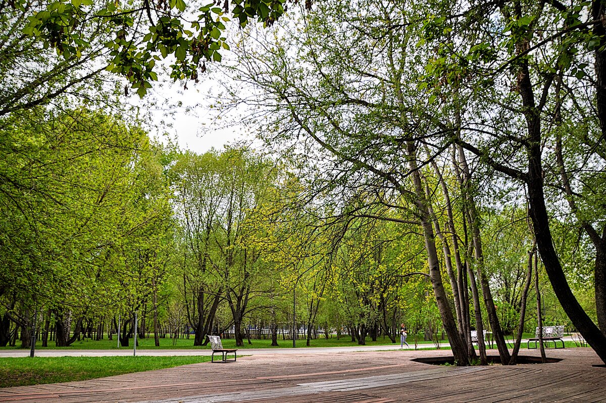 Наша площадка для посиделок ... - Анатолий Колосов Наша площадка для посиделок ... - Анатолий Колосов