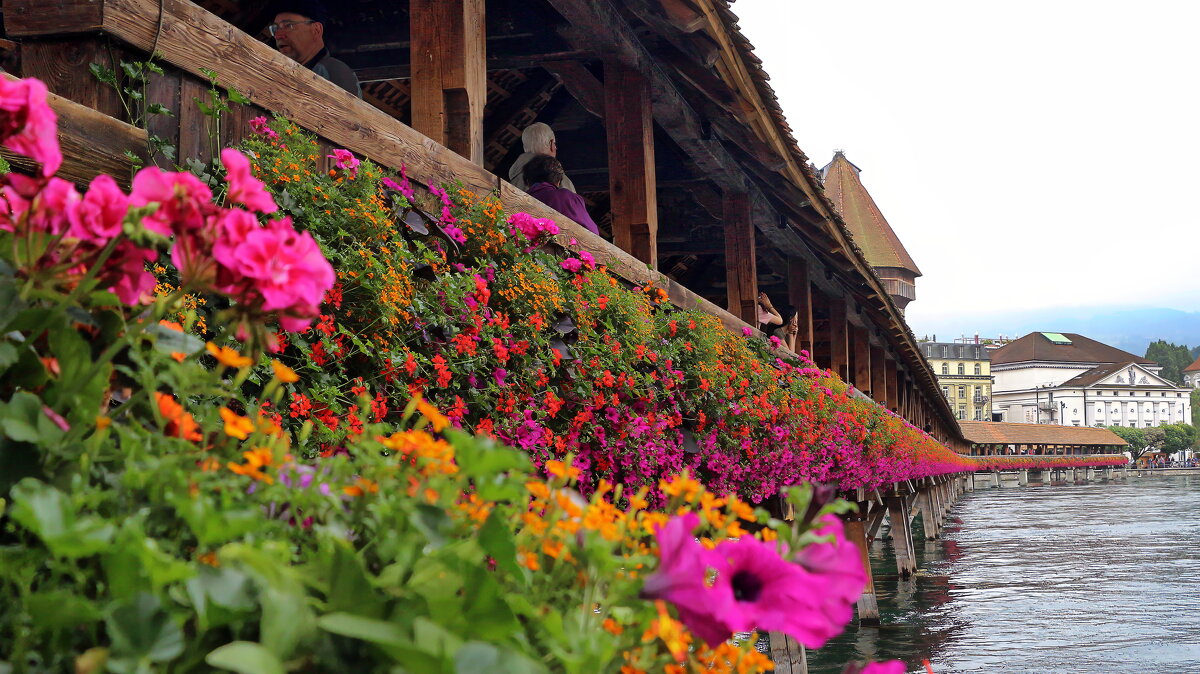 Часовенный мост Самый древний деревянный крытый мост в Европе - Sergey Grim Часовенный мост Самый древний деревянный крытый мост в Европе - Sergey Grim