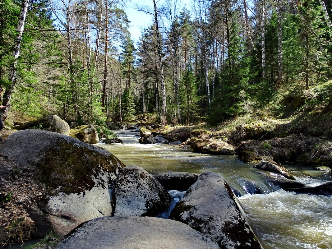 Весенняя река - Павел Трунцев Весенняя река - Павел Трунцев
