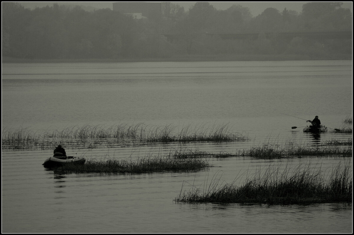 Туман не помеха... - Aleksandr Gal
