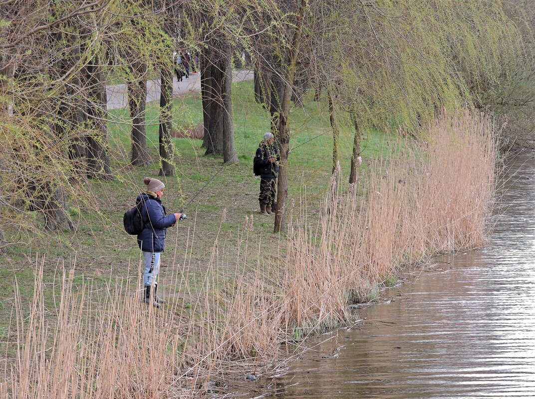 Семейная рыбалка. - Мария Васильева Семейная рыбалка. - Мария Васильева