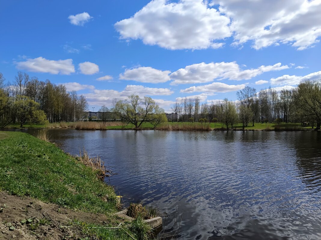 Плывут по небу облака... - Мария Васильева