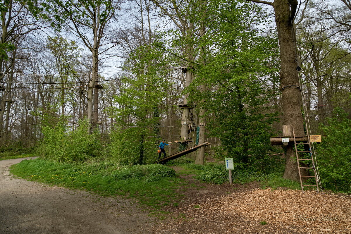 В верёвочном городе... - Николай Гирш