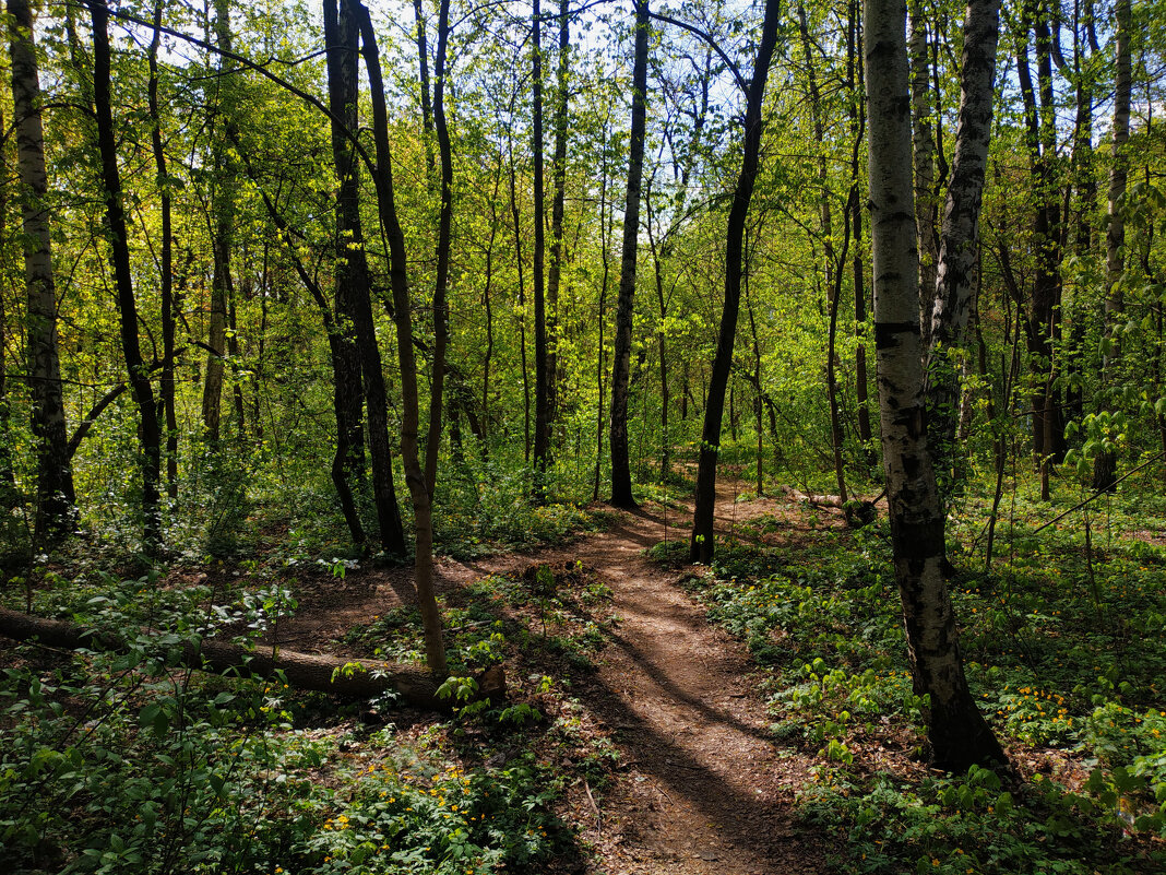 * * * - Андрей Лукьянов