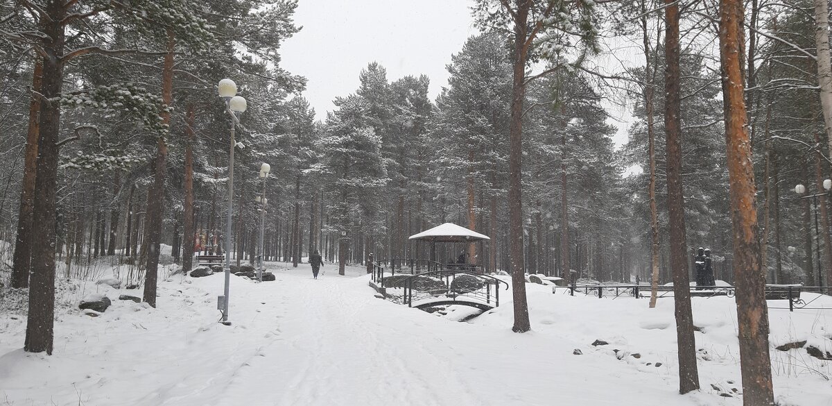 Снегопад в конце апреля - Ольга 