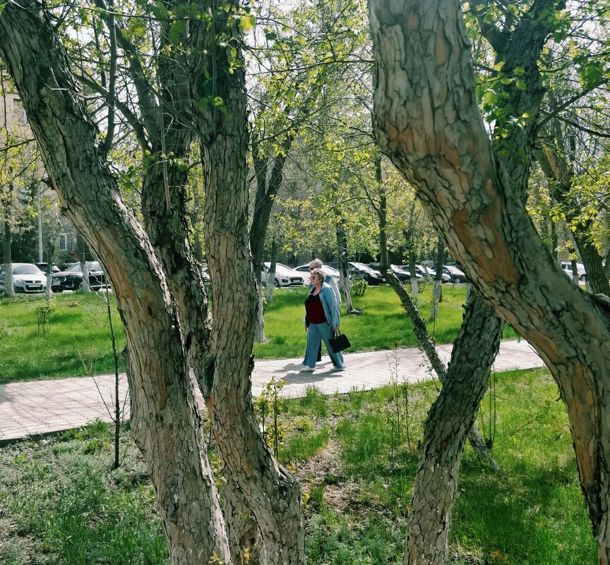 Весна,пришла - Андрей Хлопонин