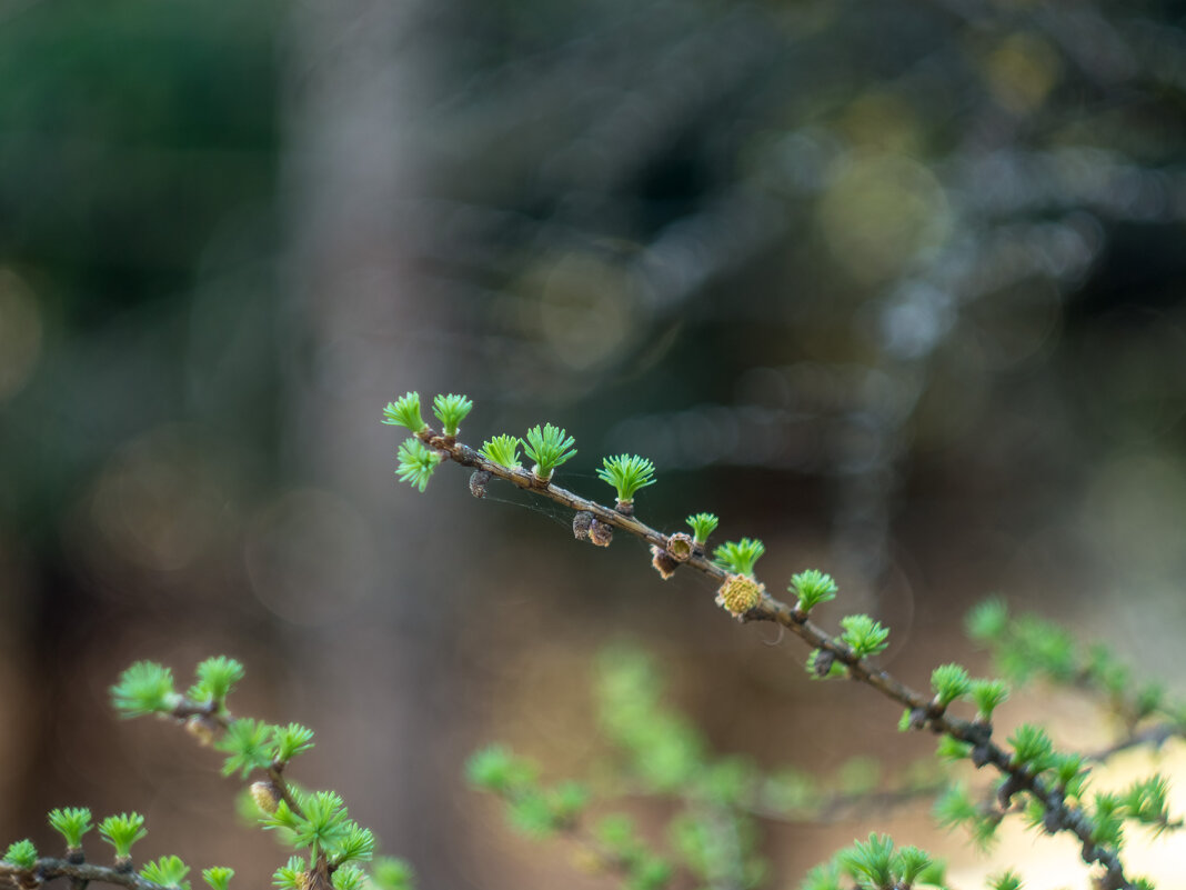 ___ - Yuriy V ___ - Yuriy V