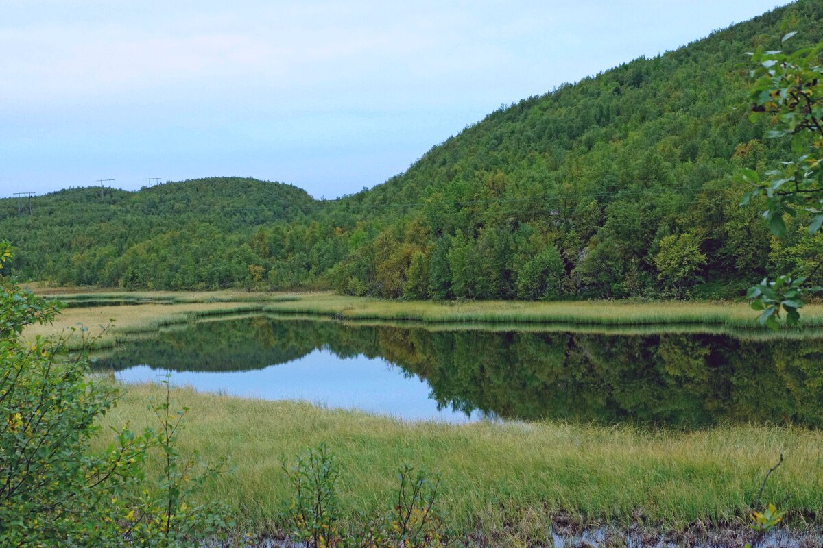 Сопки - Сергей Швечков