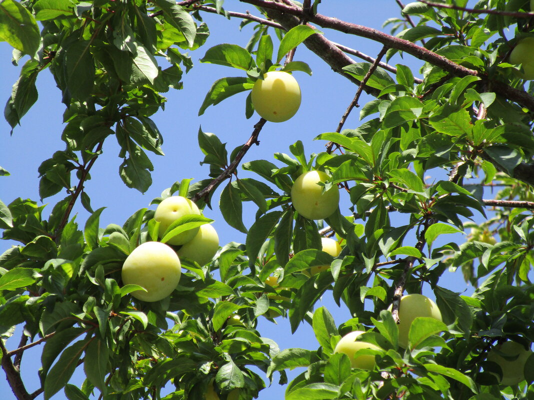 Мармарис июнь Турция - Елена Шаламова Мармарис июнь Турция - Елена Шаламова