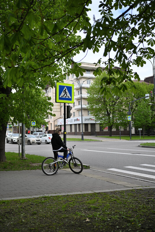 Девушка на велопрогулке... - Referee (Дмитрий)
