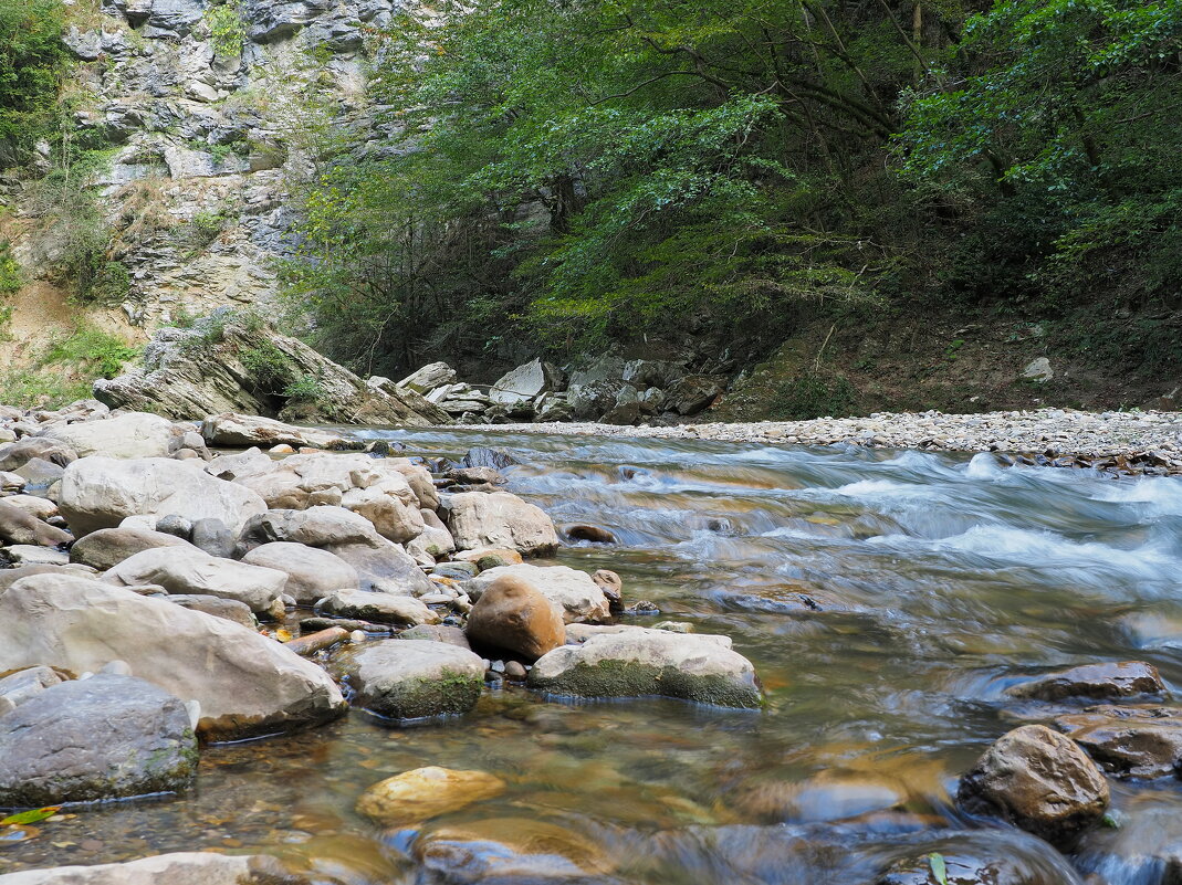 Течение. - Евгений Седов
