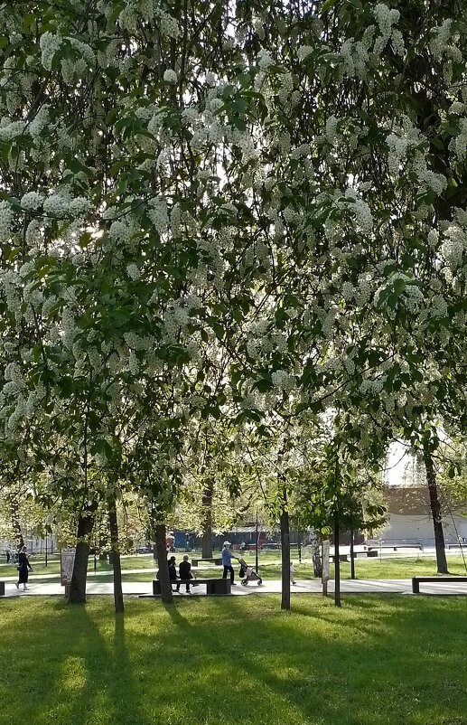 *** - Валентина Береснева