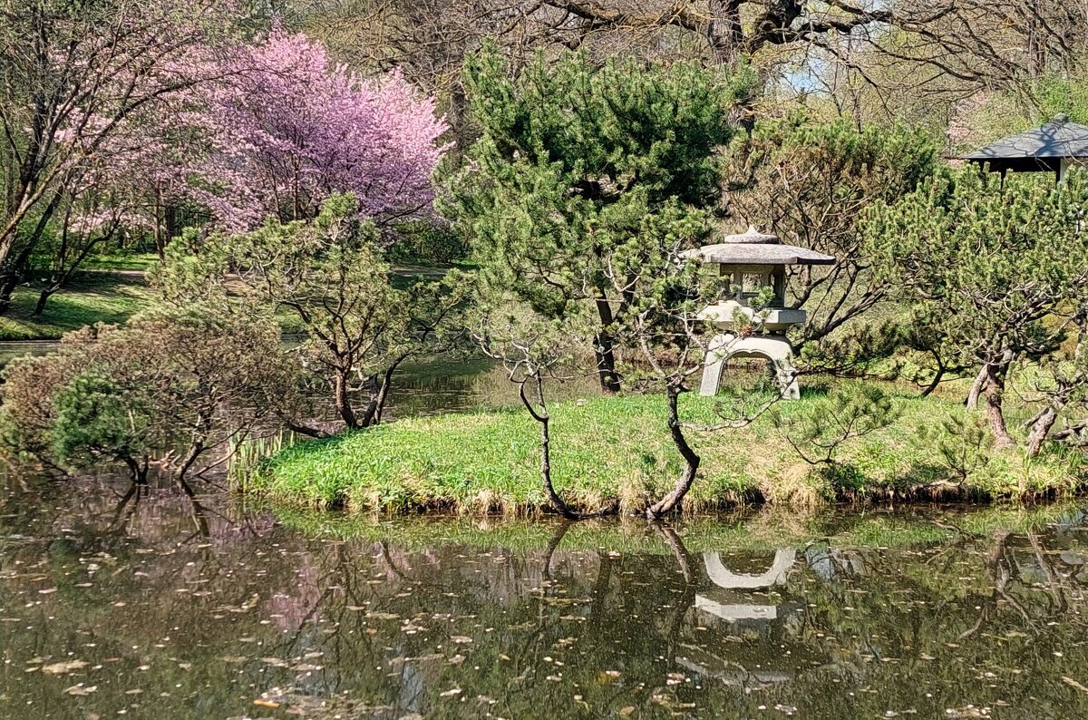 Весна в Японском саду - ИРЭН@ . Весна в Японском саду - ИРЭН@ .