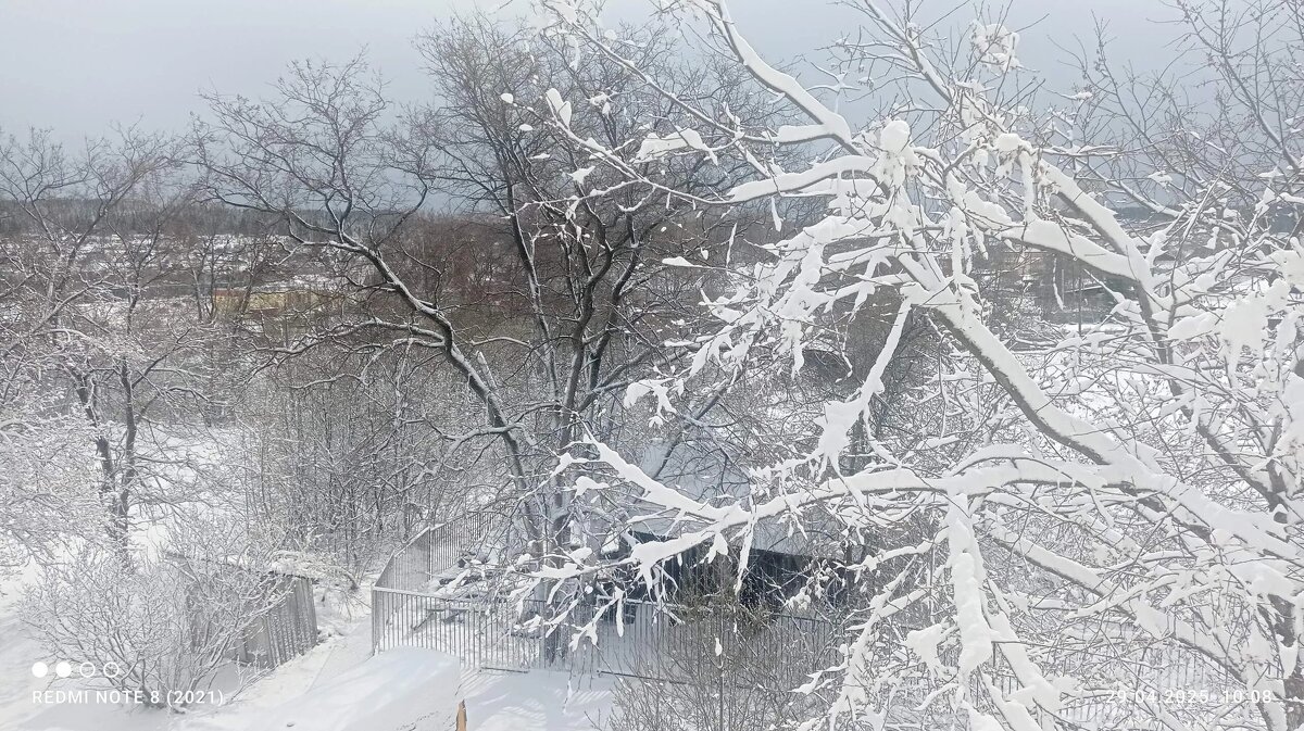 непогода в конце апреля - Ольга Конькова