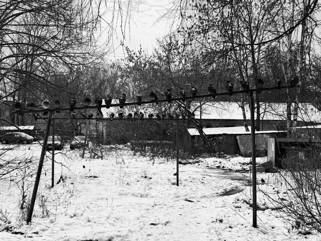 Посидим - подумаем - Татьяна Соколова