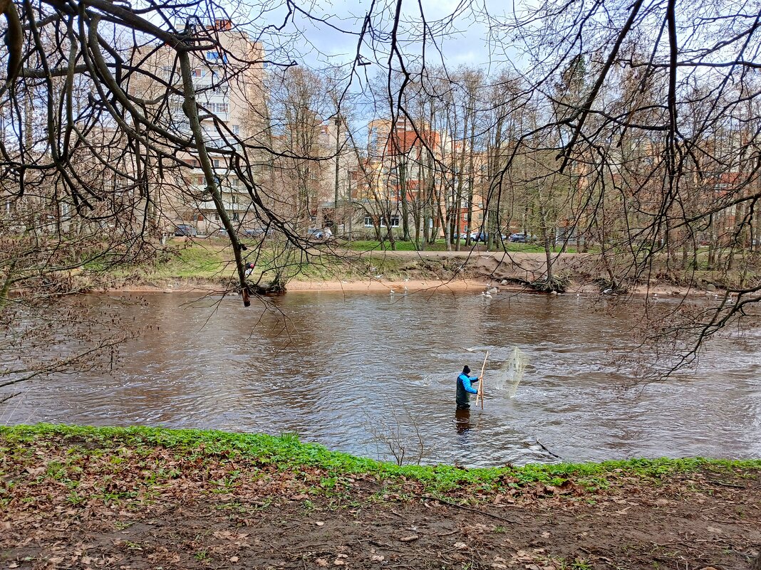 Что-то пока рыбка не ловится. - Лия ☼ Что-то пока рыбка не ловится. - Лия ☼