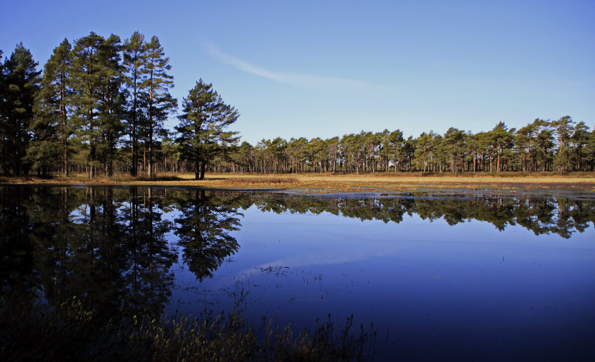 Тихий весенний день.. - Татьян@ Ивановна Тихий весенний день.. - Татьян@ Ивановна