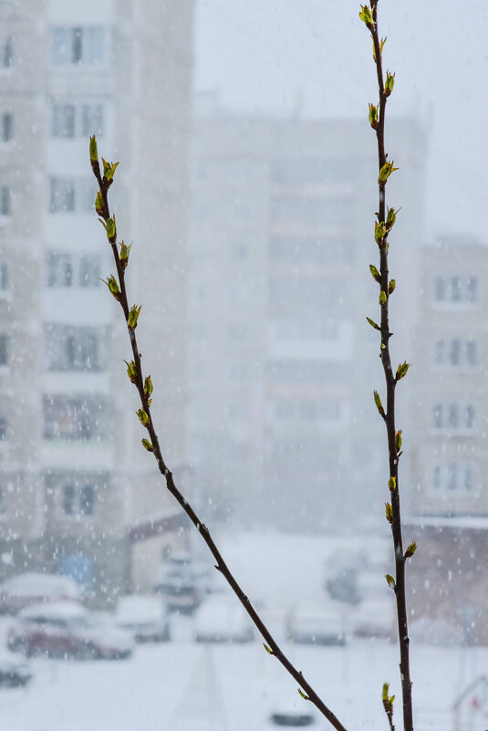 Апрель. - Наталья 