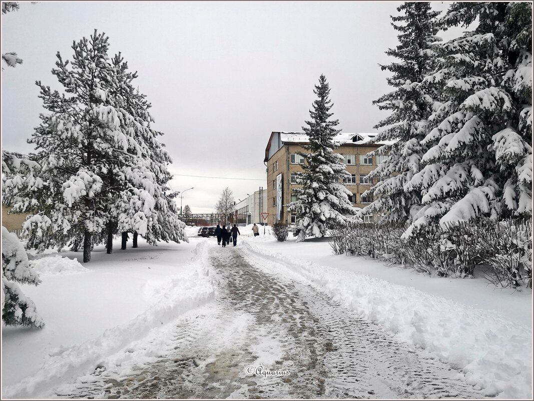 «Нас утро встречает прохладой…» - Aquarius - Сергей «Нас утро встречает прохладой…» - Aquarius - Сергей