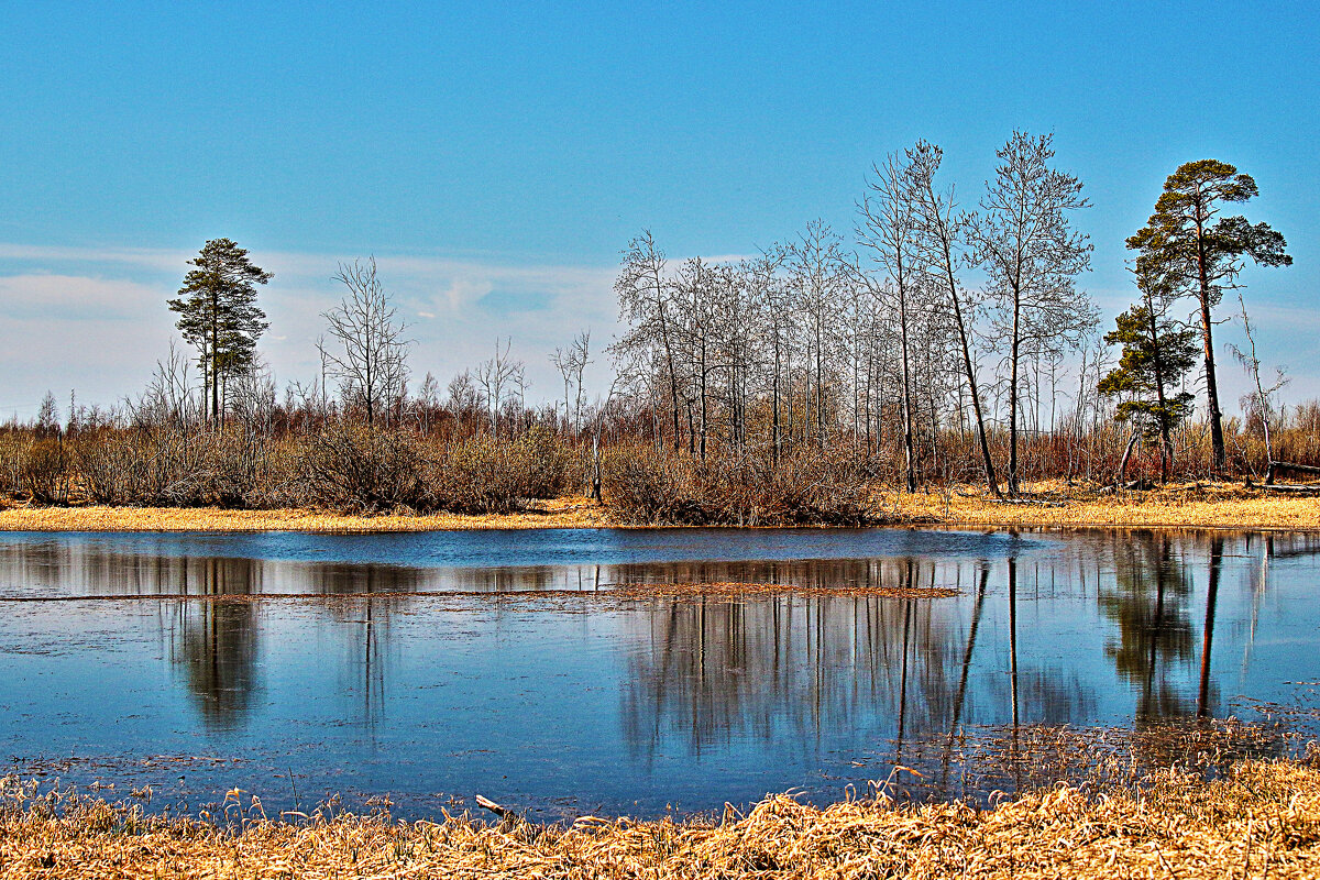 Май...Протока Чеускина! - Владимир 