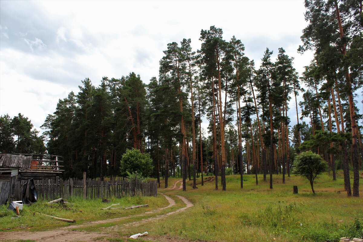 Поселок Камский - Марсель Валеев
