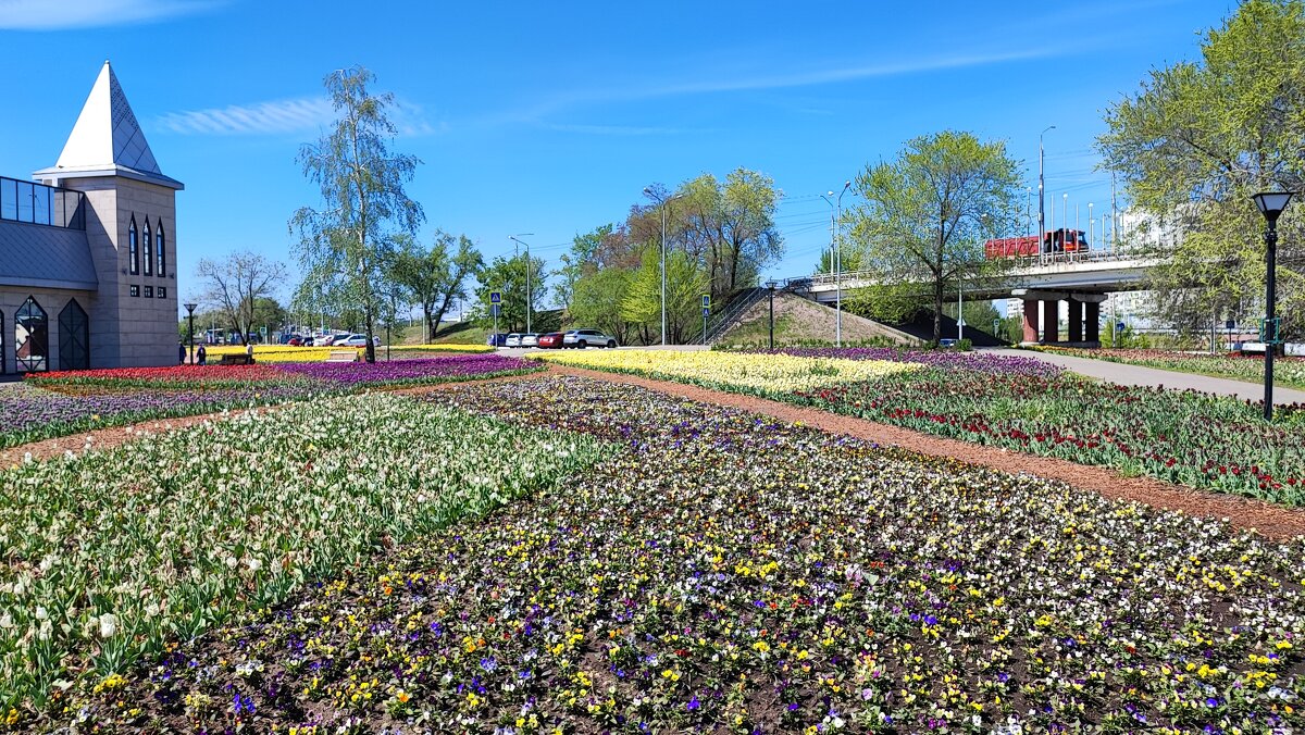 ,,, - Сергей Тимоновский ,,, - Сергей Тимоновский