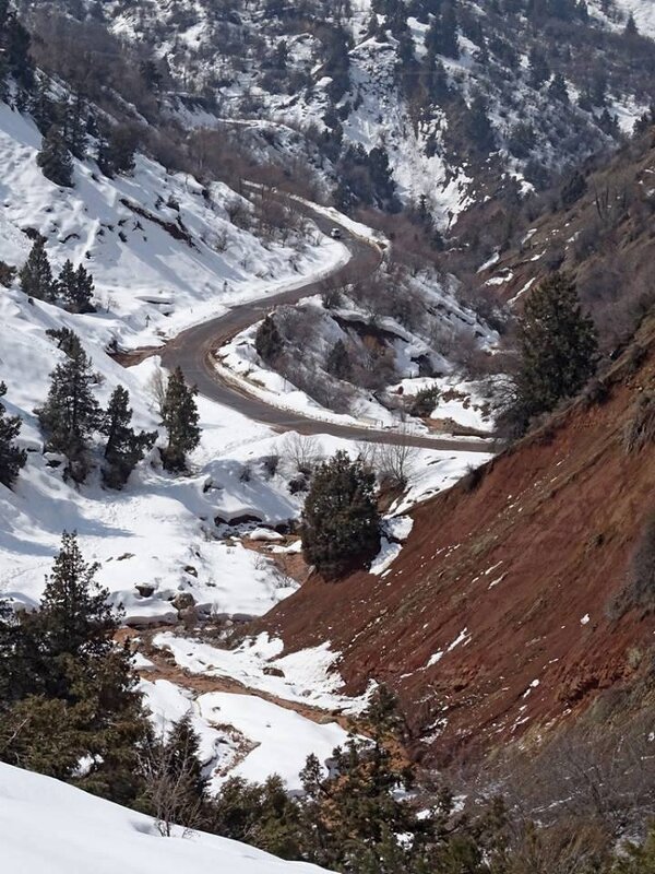ВОСКРЕСНАЯ ПРОГУЛКА. - Виктор Осипчук ВОСКРЕСНАЯ ПРОГУЛКА. - Виктор Осипчук