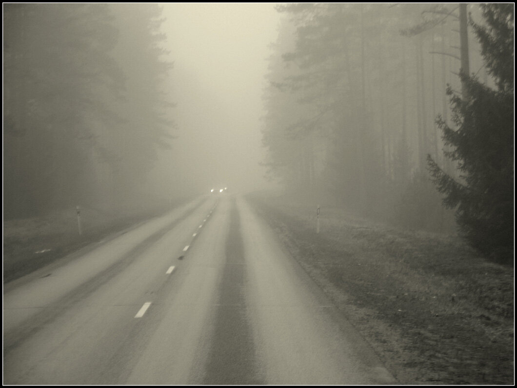 *** - Aleksandr Gal *** - Aleksandr Gal