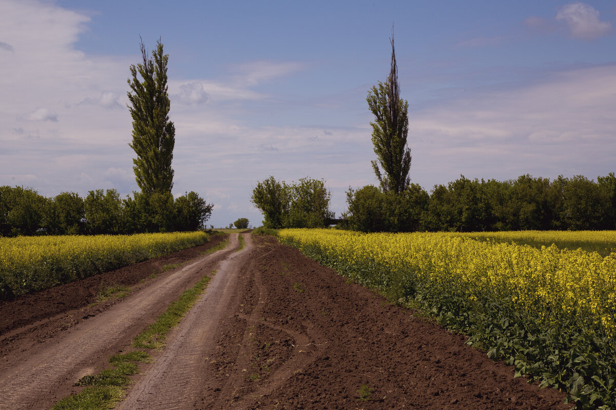 Новая жизнь - Яна Горбунова Новая жизнь - Яна Горбунова