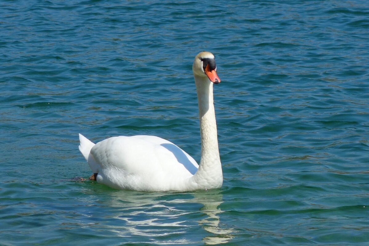 ... - Галина ... - Галина