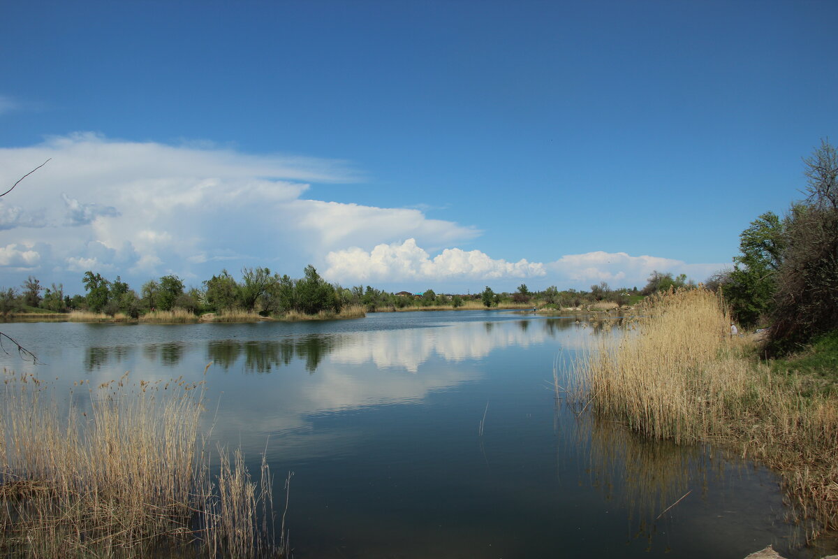 Донские  зарисовки. - Виктор 