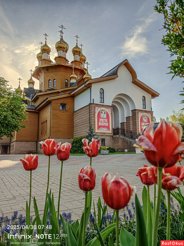 Зосимов день - Игорь Сарапулов Зосимов день - Игорь Сарапулов