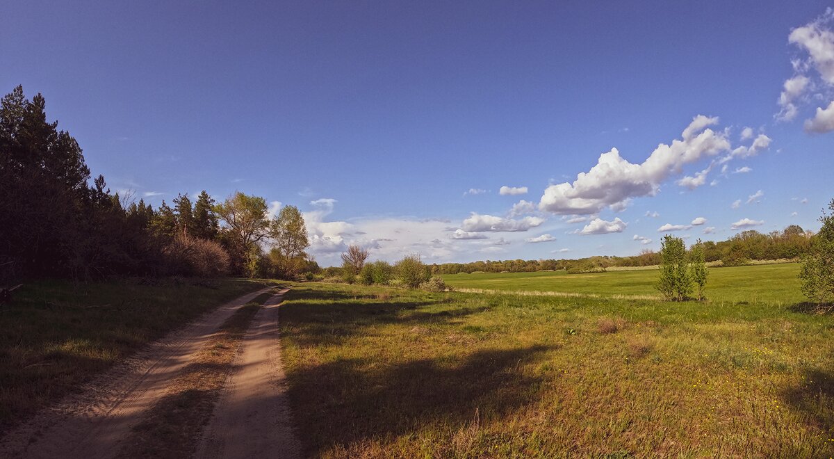 Поле - Pavel Bamboleo