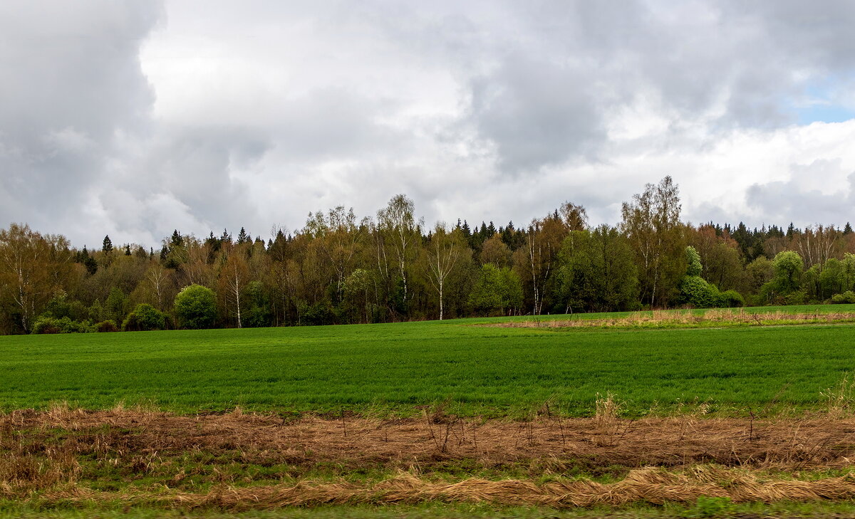 Апрельский пейзаж. - Анатолий. Chesnavik.