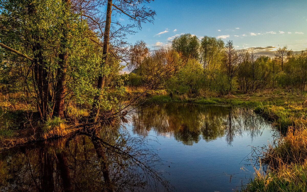 Весенний вечер 6 - Андрей Дворников Весенний вечер 6 - Андрей Дворников