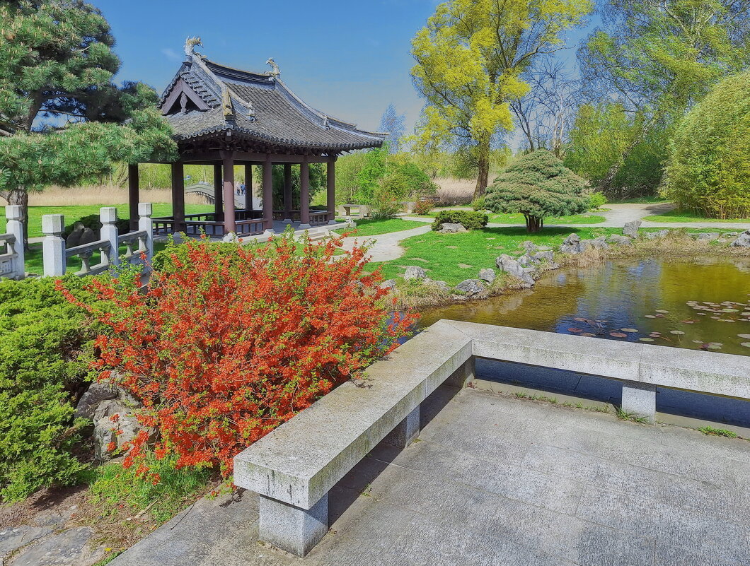 Весной в китайском садике - Андрей K. Весной в китайском садике - Андрей K.