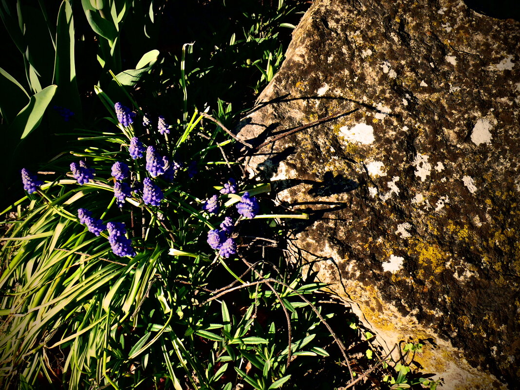 Весенние зарисовки 106 - Алексей Кузнецов