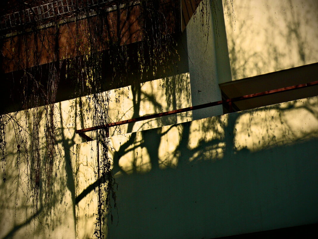 Весенние зарисовки 110 - Алексей Кузнецов